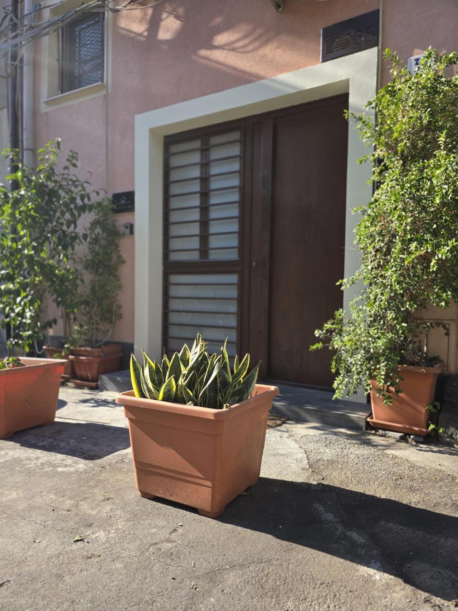 Benedettini Little House CTA
